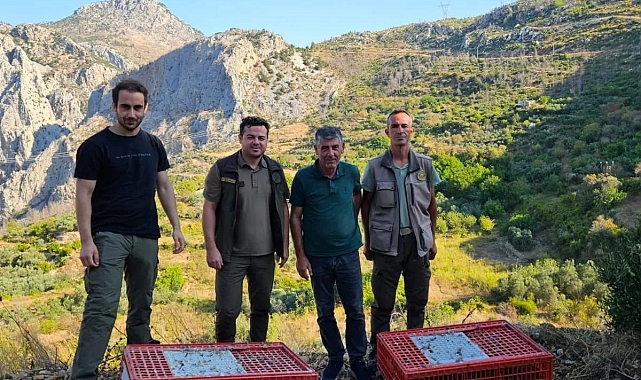 Akseki&#039;de orman yangınına karşı doğa dostu adım