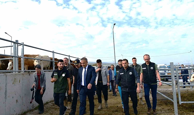 Ardahan Valisi Hayrettin Çiçek, hayvan pazarında incelemelerde bulundu