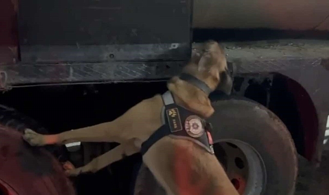 Asfalt tankeri içerisinde 4 kilo 750 gram skunk maddesi ele geçirildi