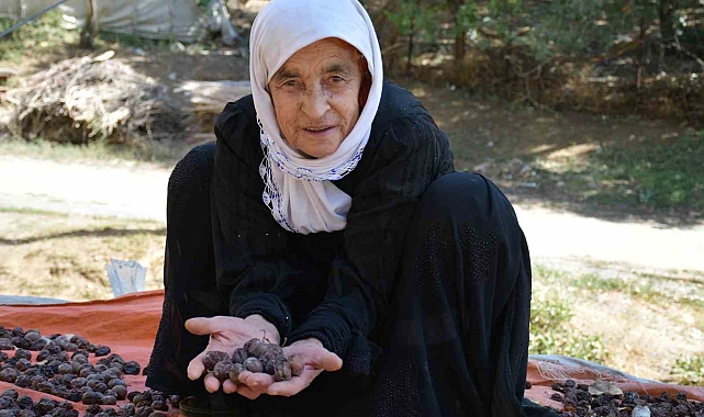 Bağ ve bahçelerde toplatılan meyveler, ev damlarında kurutmaya bırakılıyor