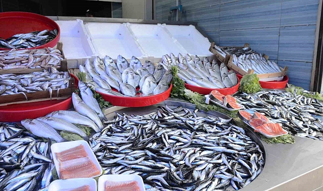 Balık sezonu açıldı, vatandaşlar da tezgâhlara koştu