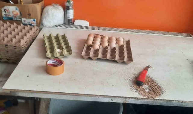 Bilecik&#039;te zabıta, vatandaşı &#039;köy yumurtası&#039; diye kandıran satıcıyı yakaladı