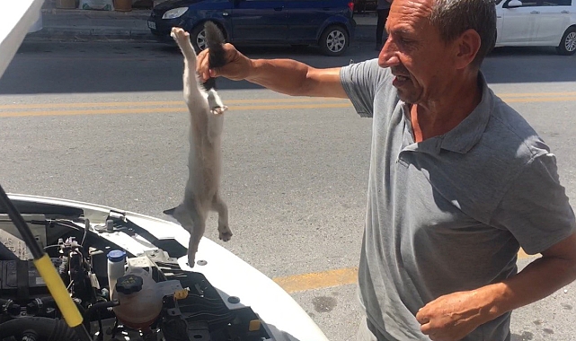 Bir otomobilin motor kaputuna giren kedi, duyarlı vatandaşlar tarafından kurtarıldı