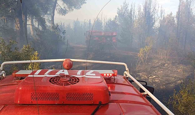 Çanakkale&#039;de ziraat alanında başlayan ve ormanlık alana sıçrayan yangın kontrol altına alındı