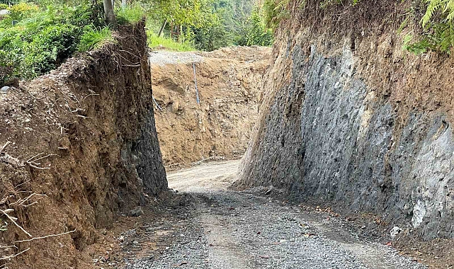 &quot;Canlı insana değil cansız insana daha çok değer veriliyor&quot;