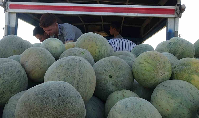 Cefan kavununda yaşanan bolluk çiftçileri sevindirdi