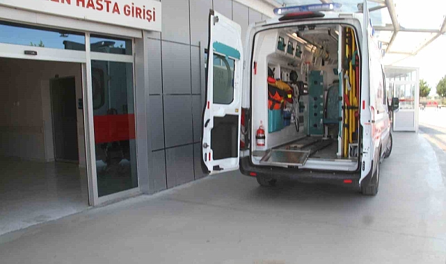 Çıktığı ağaçtan düşerek yaralandı