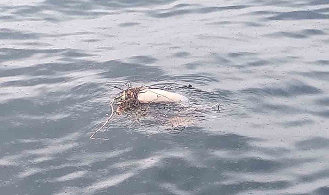 Denizde ceset bulundu