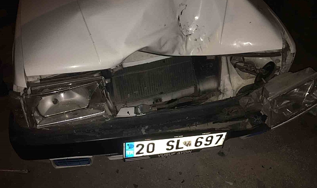 Direksiyon hakimiyetini kaybettiği otomobil, evinin önünde oturan kadına çarptı