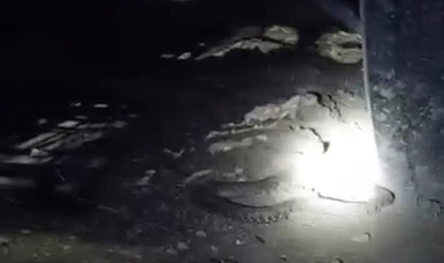 Elazığ&#039;da 2 metrelik engerek yılanı görüntülendi
