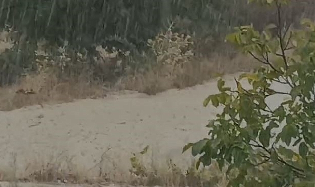 Elazığ&#039;da etkisini arttıran yağış sele neden oldu