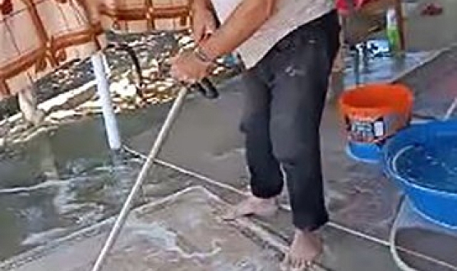 Elazığlı Vatandaş Ot Biçme Makinesini Halı Yıkama Makinesine Çevirdi