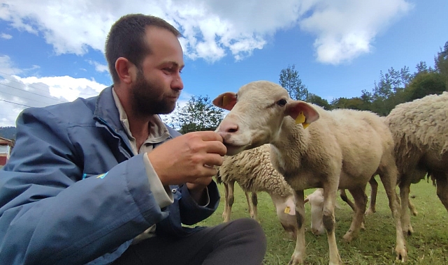 En büyük hayali kaymakamlık olan iki üniversite mezunu genç, çobanlık yapmaya başladı