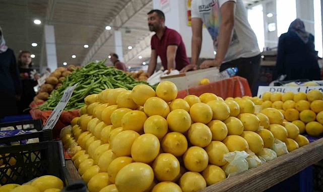 Erzincan&#039;da limon fiyatı yüzleri güldürdü