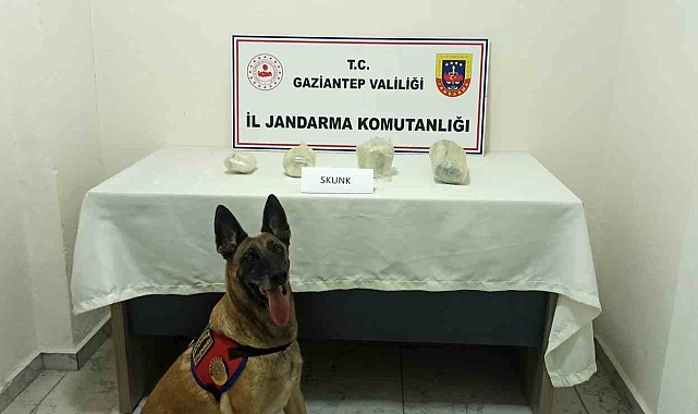 Gaziantep&#039;te 22 şüpheli hakkında yasal işlem yapılırken 500 kilo kaçak tütün ele geçirildi