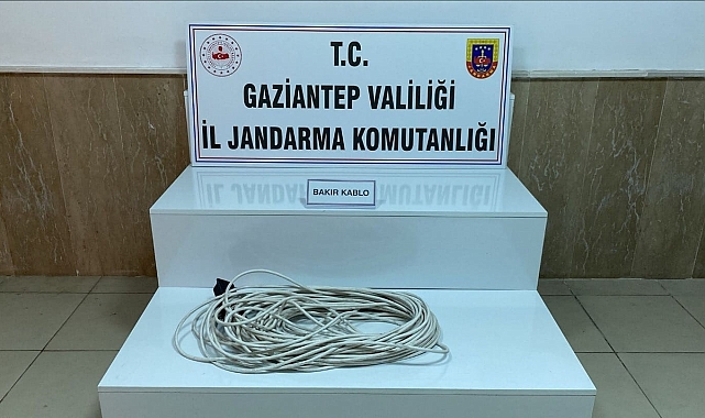 Hırsızlık yaparken suçüstü yakalanan 14 şüpheli gözaltına alındı