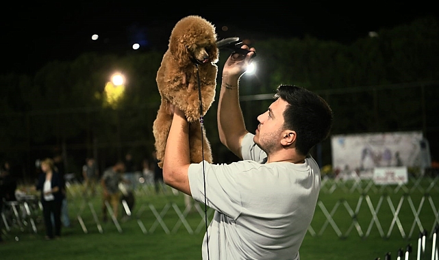 &#039;International Dog Show&#039; sona erdi