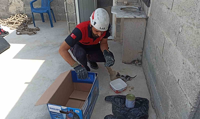 İtfaiye ekipleri havalandırma boşluğuna düşen yavru kedileri kurtardı