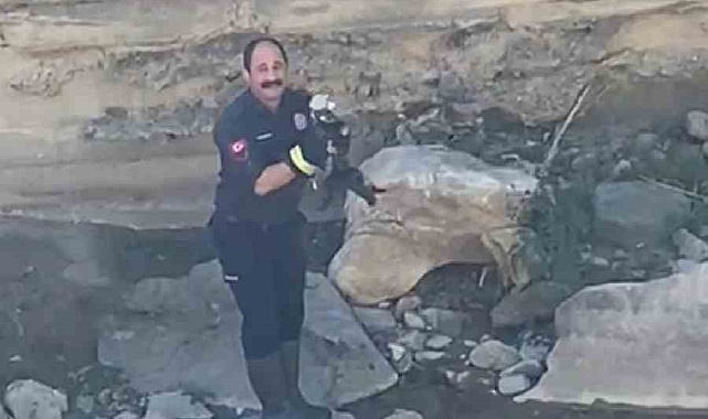 İtfaiye ekipleri, kafası kutuya sıkışan kedinin imdadına yetişti