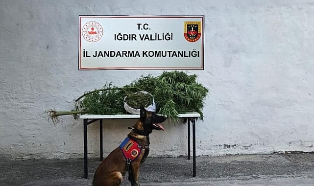 Jandarma Komutanlığı&#039;ndan uyuşturucu operasyonu