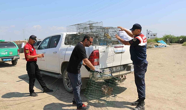 Kaçak balık avına geçit yok