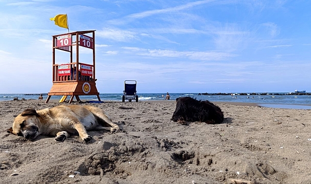 Karasu sahili boş kaldı
