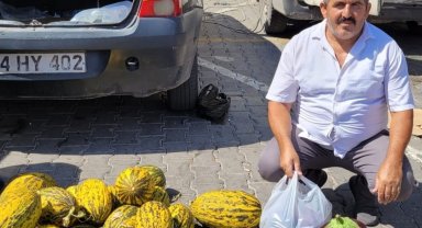 Karpuz gibi patlıcan