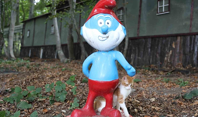 Kedi Kasabası örnek teşkil ediyor