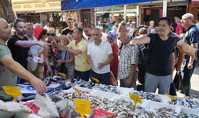 Kiloluk palamutlar 70 TL