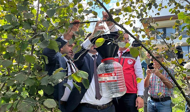 Kokarcaya feromon tuzak: Cezbet-yoket