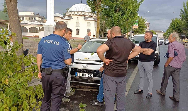 Kökünden sökülen ağaç, park halindeki bir aracın üzerine devrildi
