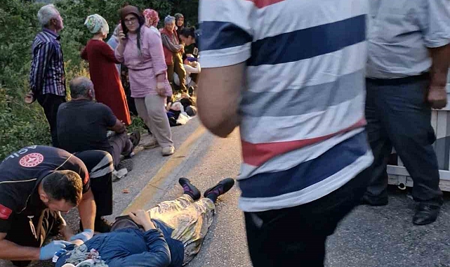 Kontrolden çıkan kamyonet yan yattı