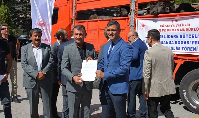 Manda yetiştiricilerine damızlık desteği