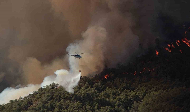 Muğla&#039;da 385 Orman Yangınında Bin 148 Hektar Alan Kül Oldu