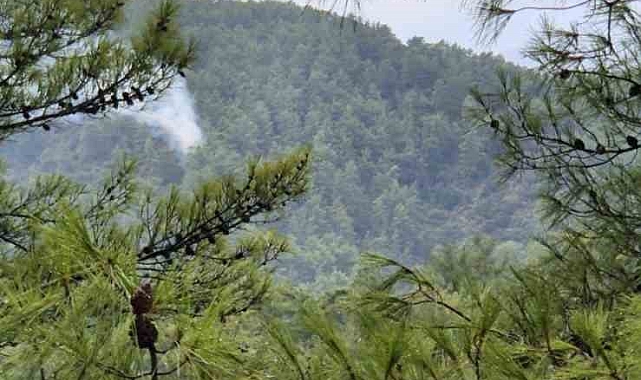 Muğla&#039;da sağanak yağışların ardından yıldırım kaynaklı orman yangınları meydana geldi