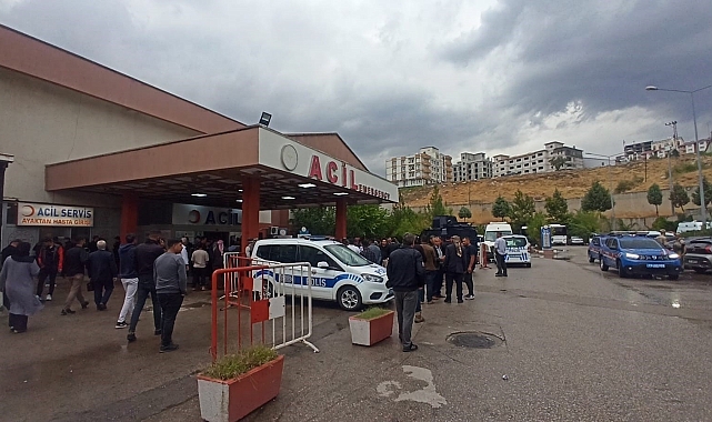 Odun toplayan vatandaşların üzerine yıldırım düştü: 2 kişi öldü