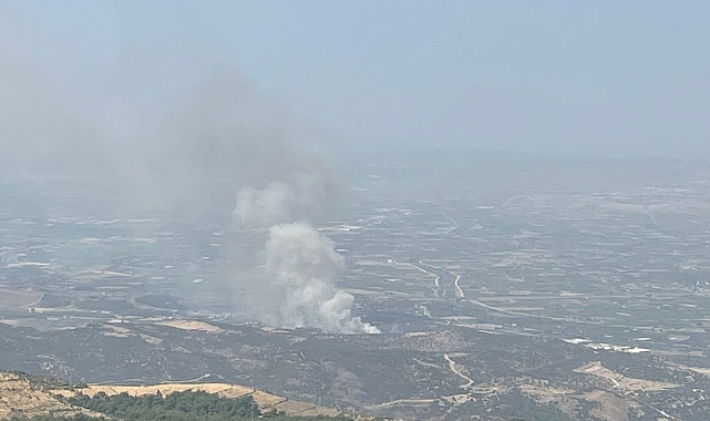 Ormanlık alanda çıkan yangına havadan ve karadan müdahale başladı