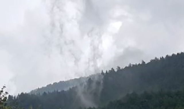 Ormanlık alanda oluşan hortum paniğe neden oldu