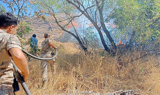 Ovacık ilçesinde yangında 11 hektarlık alan zarar gördü