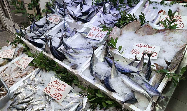 Palamudun fiyatı, balığın Gürcistan&#039;a kaçması nedeniyle 120 TL&#039;ye yükseldi