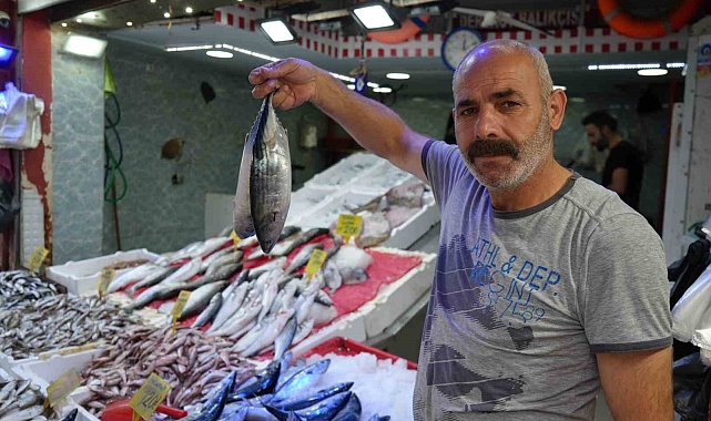 Palamut Rusya&#039;ya kaçması nedeniyle fiyatı 120 TL&#039;ye yükseldi