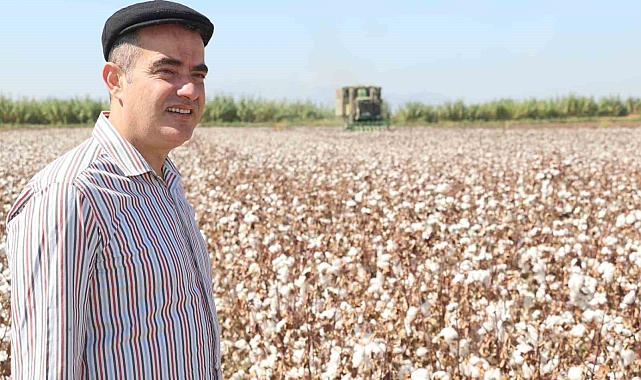 Pamuk hasadı başladı