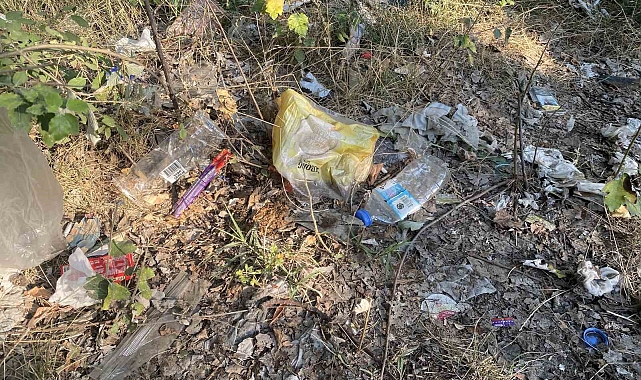 Piknikçilerin toplamadığı atıklar doğada kötü görüntüye neden oldu