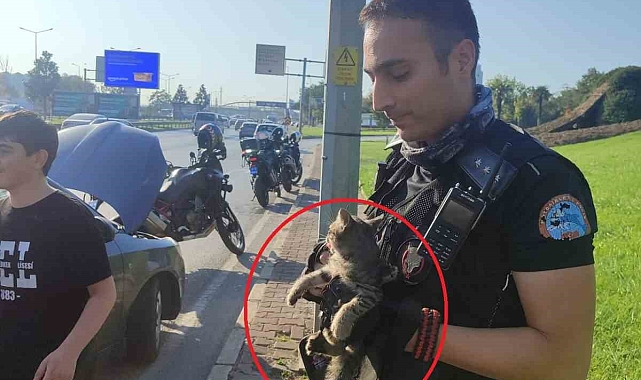 Polisler 4 araca giren kediyi kurtardı