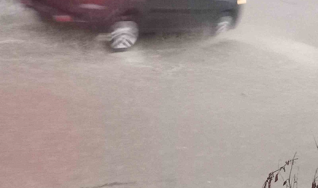 Posof&#039;ta etkili olan sağanak sele neden oldu