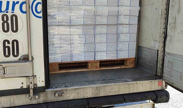 Rusya ve İtalya&#039;ya balık ihracatı