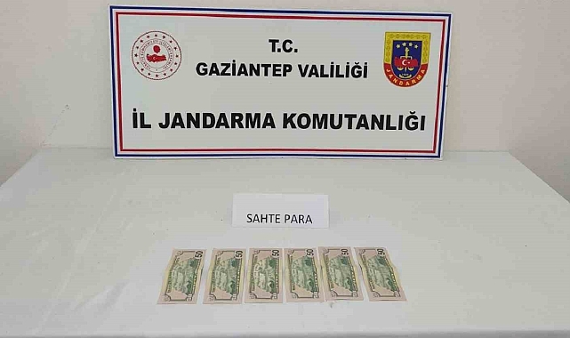 Sahte dolar basarak piyasaya süreceği tespit edilen şahıs suçüstü yakalandı