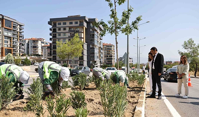 Susuzluğa dayanıklı yeşil bitki dönemi başlıyor
