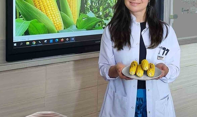 Süt mısırın, dopamin ve serotonin salgıladığını açıklandı