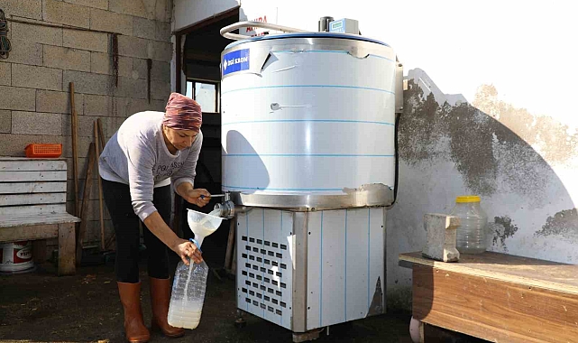 Tek başına 20 büyükbaş hayvana bakıyor